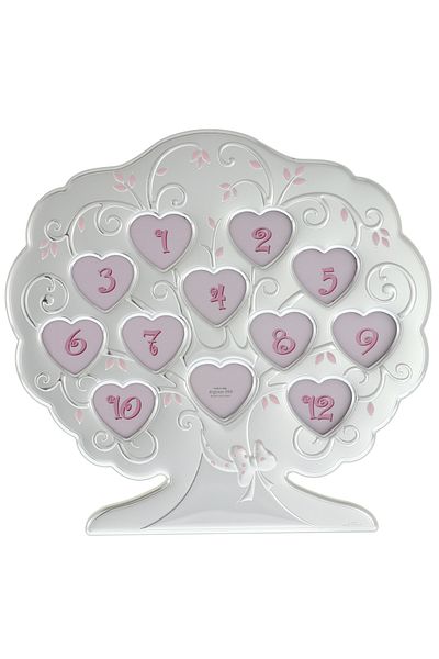 GiftExpress Silver musical photo frame 12 pink pictures