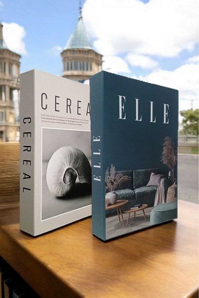 BayCazip Decorative Book Look Box Set of 2 Decorative Book Looking Box
