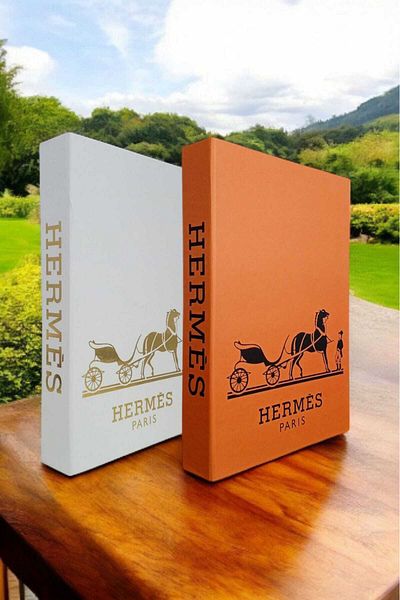 BayCazip Decorative Book Look Box Set of 2 Decorative Book Looking Box