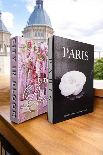 BayCazip Decorative Book Look Box Set of 2 Decorative Book Looking Box