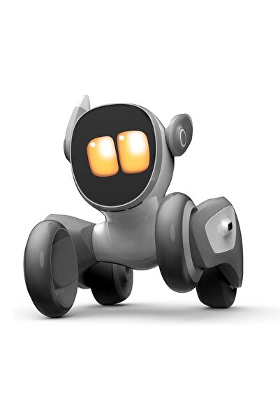 TeknoCrest Loona Yapay Zeka Robot- Ai Petdog