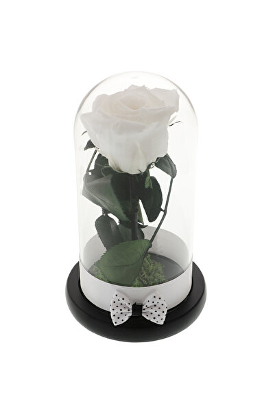 GiftExpress Trandafir Criogenat Trandafir Alb