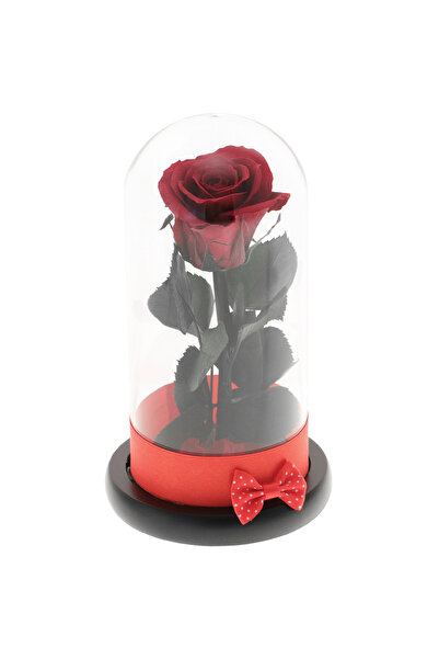 GiftExpress Trandafir Criogenat Trandafir Rosu