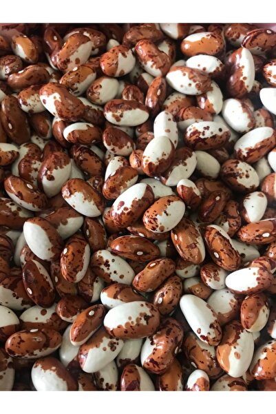 Karahasanoğlu Tarım Yerli Ata Tohumu Uzun Enli Sırık Erken Fasulye 25 Gr (Kah...