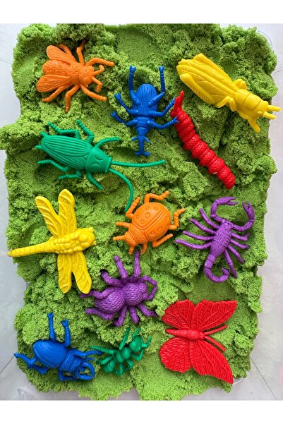 EDX صندوق اللعب الحسي للصيف موضوع الحشرات