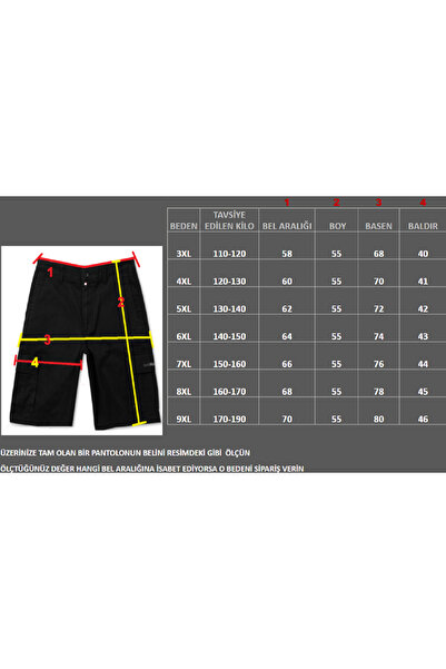 Lifeguard Büyük Beden Desenli Deniz Şortu