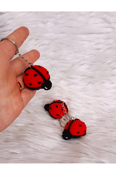 elimdeki sanat ثلاثة سلاسل مفاتيح أميجرومومي الدعسوقة