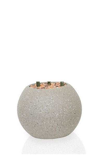 Generic Artificial Vius Umbellata Tree with Round Plastic Stand