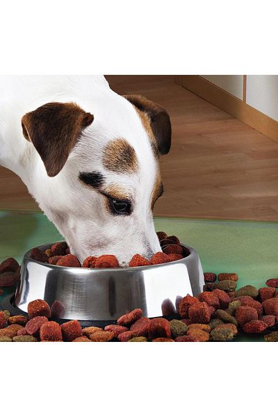 Avex Bol metalic pentru hrănirea animalelor de companie - 29 cm