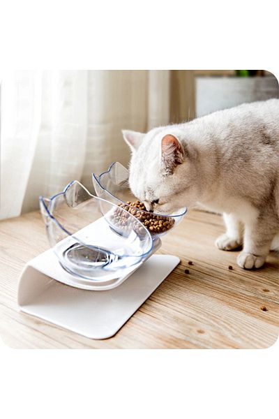 Avex Inclined Stand With 2 Cat Feeding Bowls Ag684b
