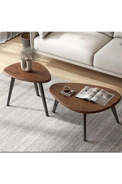 Alwan antiques and frames 2-piece coffee table set