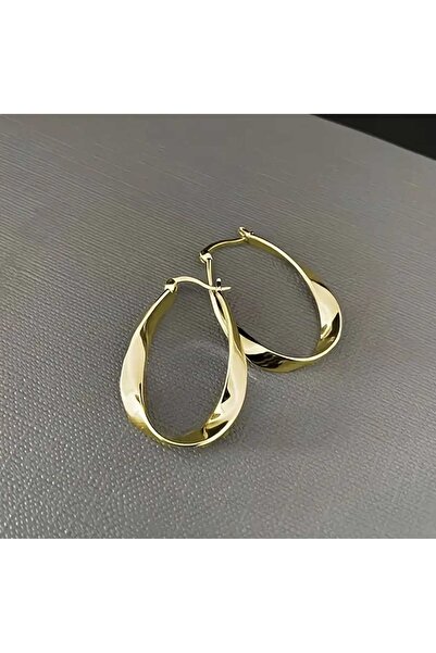 Bacoss Elegant Möbiüs Tasarım Halka Küpe ( Bc-1195 )