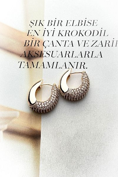 roshel Steel Gold Color Model Zircon Stone Earrings