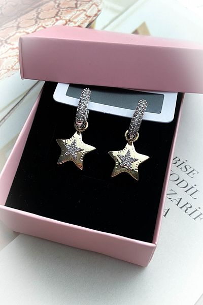 roshel Steel Gold Color Model Zircon Stone Earrings