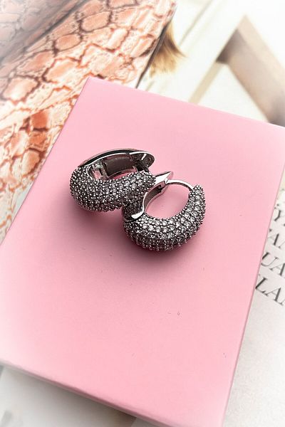 roshel Steel Gold Color Model Zircon Stone Earrings