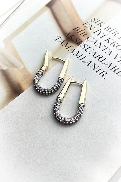 roshel Steel Gold Color Model Zircon Stone Earrings