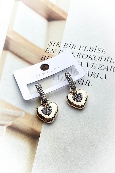 roshel Steel Gold Color Model Zircon Stone Earrings