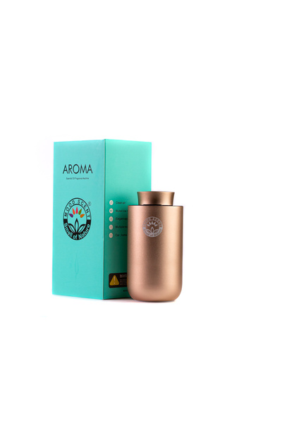 Aroma MOOD SCENT_ CAR DIFFUSER - CHAMPAGNE GOLD