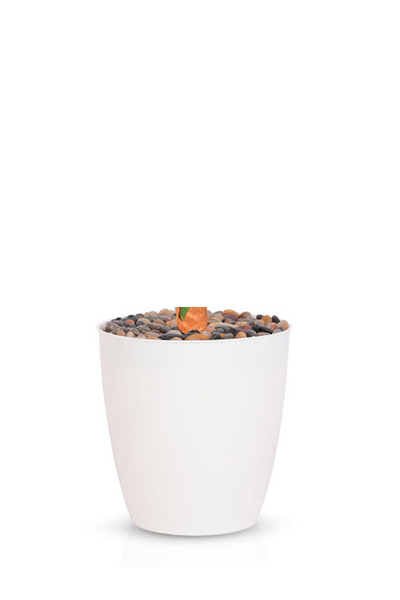 Generic Medium artificial banana leaf tree with plastic pot