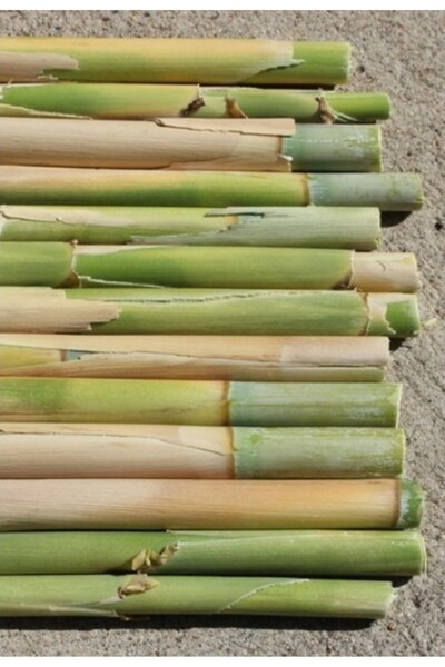 Bambu Banbu Doğal Çubuk