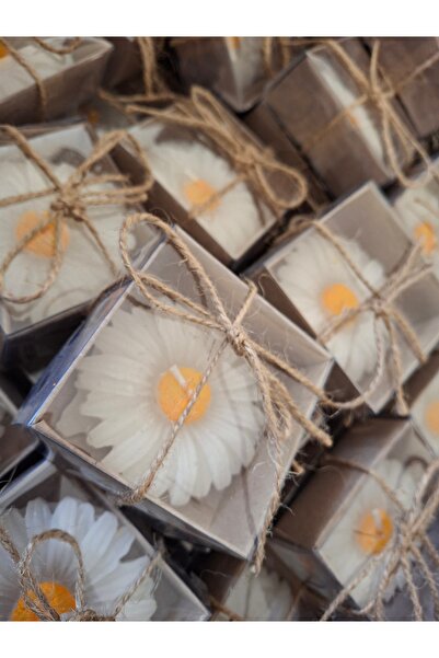 Zeyn 25 adet Papatya mum Dağıtmalık kına düğün nişan sünnet nikah özel gün