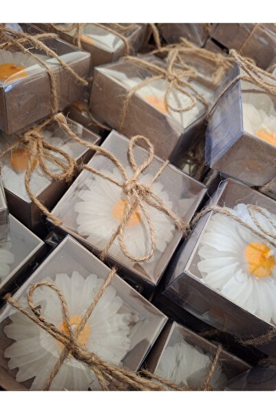 Zeyn 25 adet Papatya mum Dağıtmalık kına düğün nişan sünnet nikah özel gün