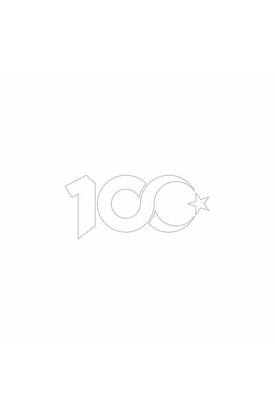 Happynesso 100. Autocolant Logo Anul, Culoare Albă, 15x6,5 cm, Tăiere Folie