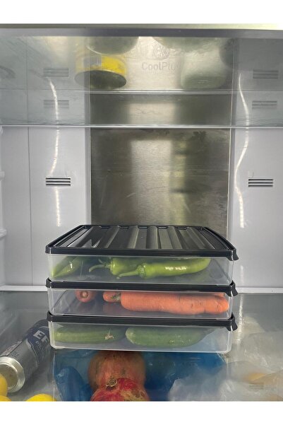 Tercih Home Set of 4 Freshbox Microwave and Diffracted Suitable Storage Container