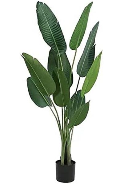 MAPLE HOME DECORATION Maple Home Fake Plant Tree Artificial Plant Faux Tree Banana Leaf Birds of Paradise Indoor (160cm)