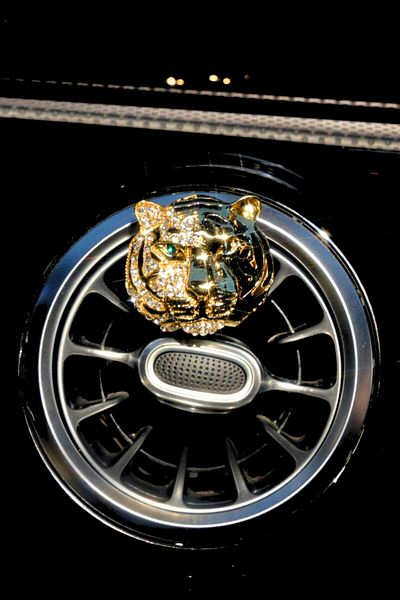 TASARIM ARABAM ATİKE ELİF AKIN Gold Asi Men Air Conditioning Scent