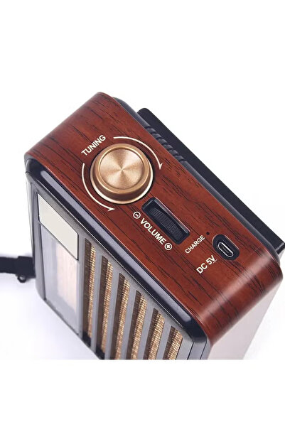 Denx HD Radio, FM/AM/SW, USB/TF/BT Player, Rechargeable Battery