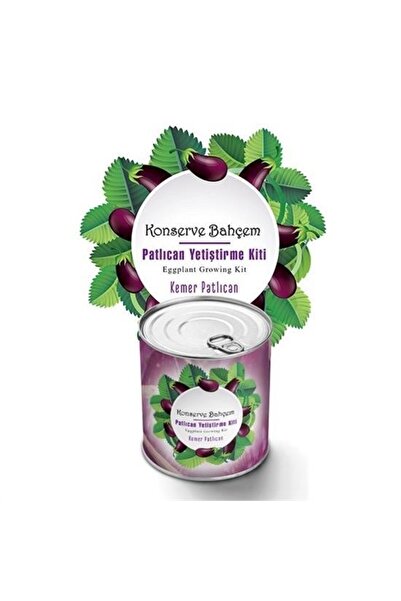 Tahtakale Toptancısı BUFFER ®   Kit de cultivare de vinete conservate pentru grădina mea, în casă, în conserve