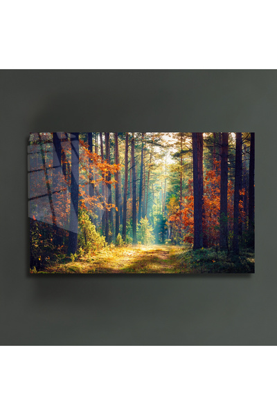 glassartdesign Pictură pe sticlă cu peisaj de pădure cu copaci colorați - Pic...