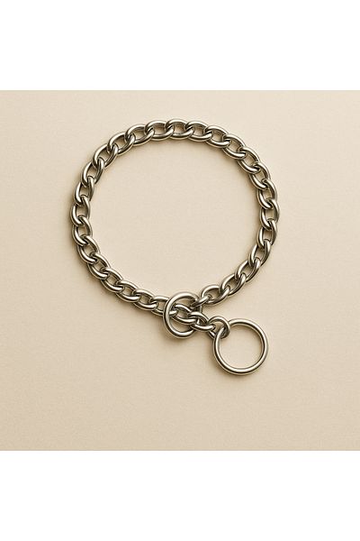 Nunbell Metal Single Ring Choke Chain Collar – Maximum Control for Large Breeds