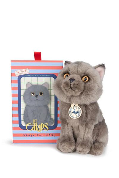 ToysAll Bon Ton Toys B.T. Chaps Freddy the British Shorthair Boxed Plush Toy 17 cm - 7'' 32179007