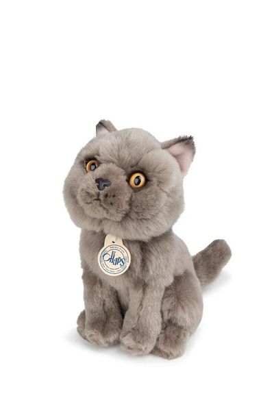 ToysAll Bon Ton Toys B.T. Chaps Freddy the British Shorthair Boxed Plush Toy 17 cm - 7'' 32179007