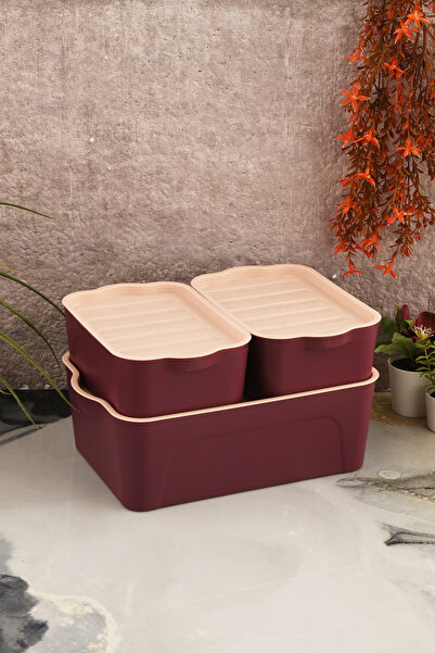Fesya Home Beru 3-Piece (2X2Lt 1X5Lt) Modular Storage Container Claret Red