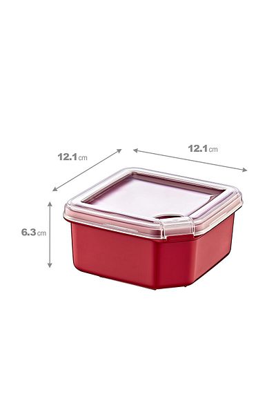 Smartware 4-Pack Q-Box Storage Container Carmen 650 ml