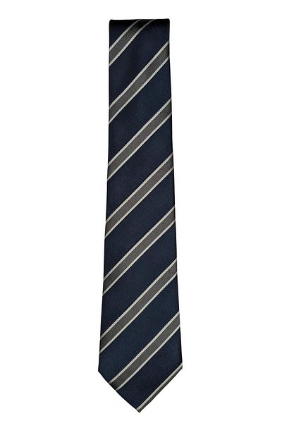 1001 Kravat Navy Blue Thick Striped Tie