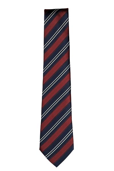 1001 Kravat Striped Classic Tie