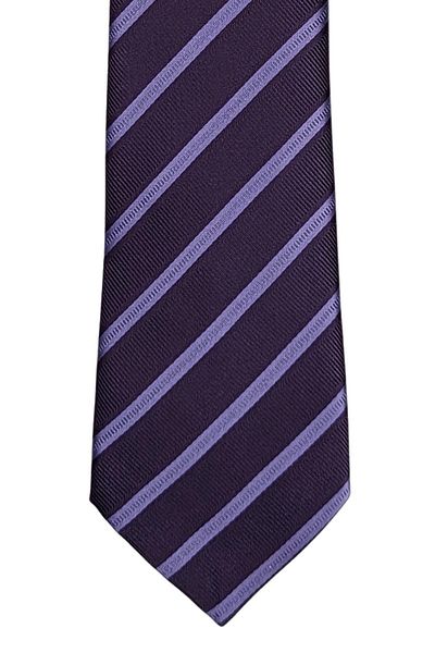 1001 Kravat Striped Tie