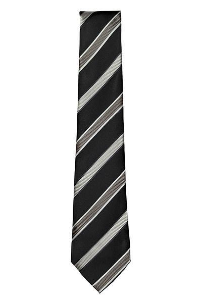 1001 Kravat Thick Striped Tie