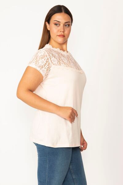 Şans Women's Large Size Pink Robe and Sleeves Lace Detailed Blouse 65n27774