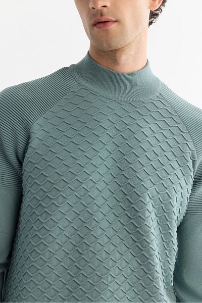 Avva Men's Nile Green Half Turtleneck Soft Touch Knitwear Sweater A42Y5023
