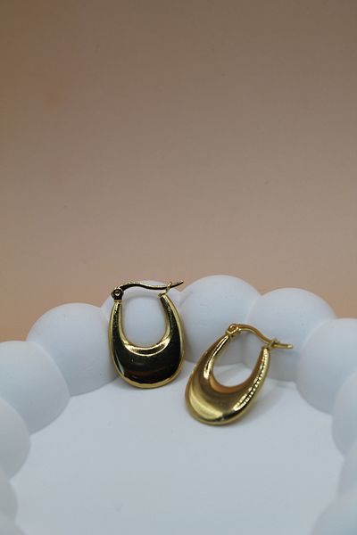 Luvix Design Steel Oval Form Gold Color Earrings