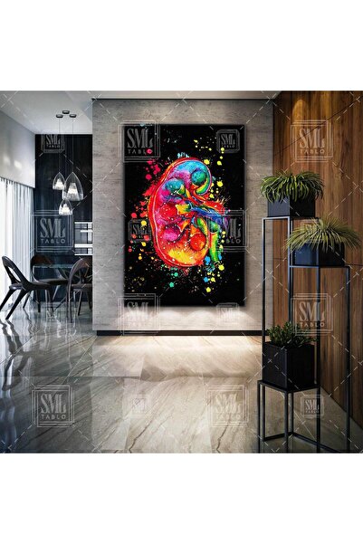 Kidney Illustration Urology Urologist Decoration Vertical Canvas Chart