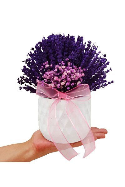 çiçekseli Lavanta Purple Alberobello&kokulu Mor Aromatik Kuru Çiçek&dekoratif...