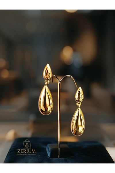 ZERİUM Elegant Drop: Simple Design Dangle Women's Steel Drop Earrings 316L