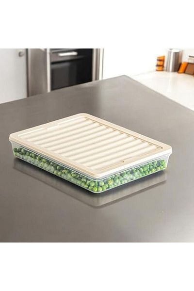 STOREMAX Refrigerator Organizer, Multi-Purpose Storage Container for Refrigerator, Fresh Box, Transparent