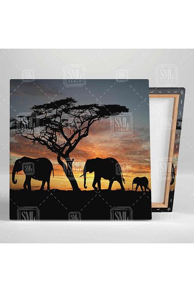 SML TABLO Sunset Walking Elephants Shadow Αφρική Φύση Τοπίο Τετράγωνο Πίνακας ζωγραφικής σε καμβά
